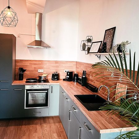 Oasis Appart - Wohnen Im Koenigspark - Elbhang Dresden - Grosse Terrasse - Netflix - Tg Εξωτερικό φωτογραφία