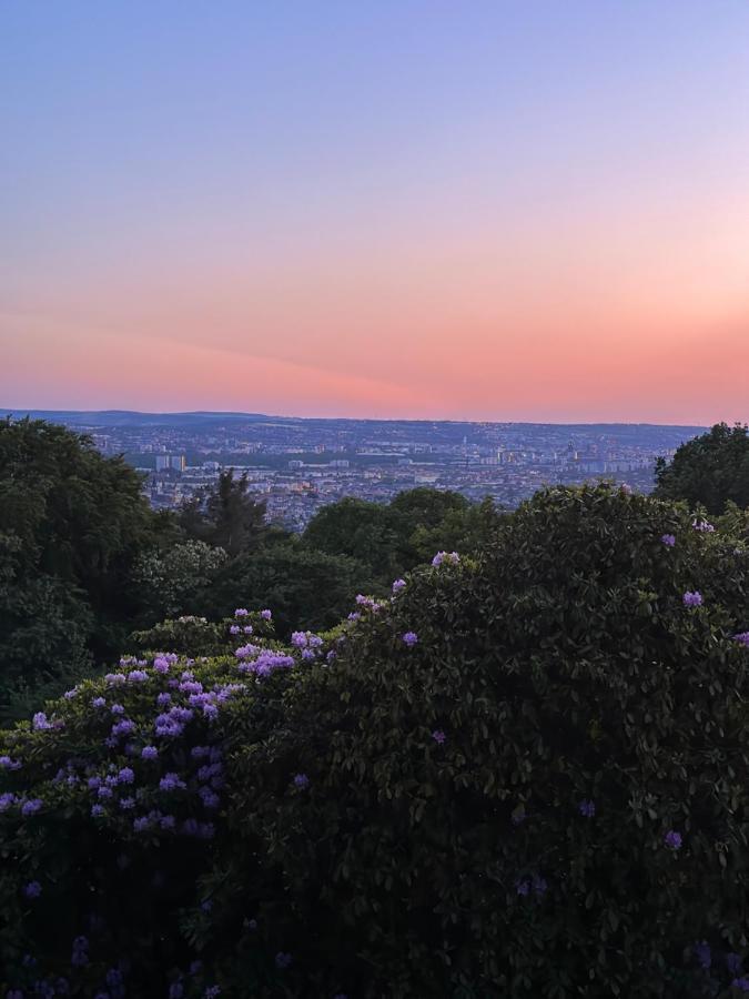 Oasis Appart - Wohnen Im Koenigspark - Elbhang Dresden - Grosse Terrasse - Netflix - Tg Εξωτερικό φωτογραφία