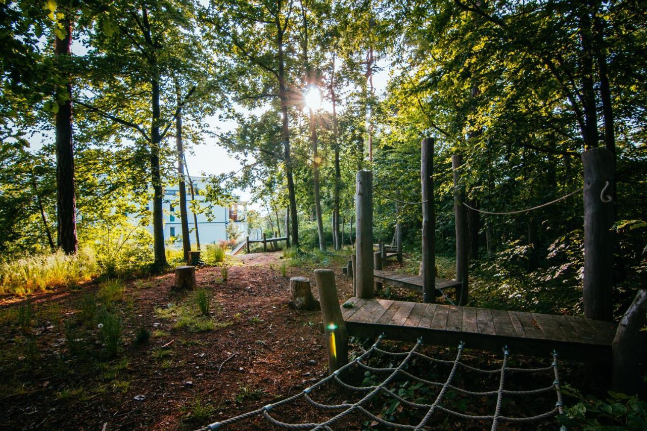 Oasis Appart - Wohnen Im Koenigspark - Elbhang Dresden - Grosse Terrasse - Netflix - Tg Εξωτερικό φωτογραφία